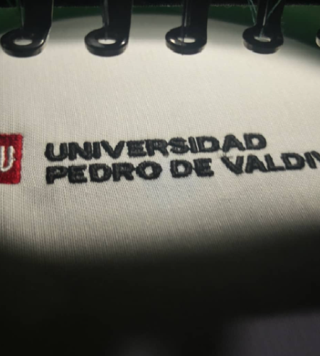 upv